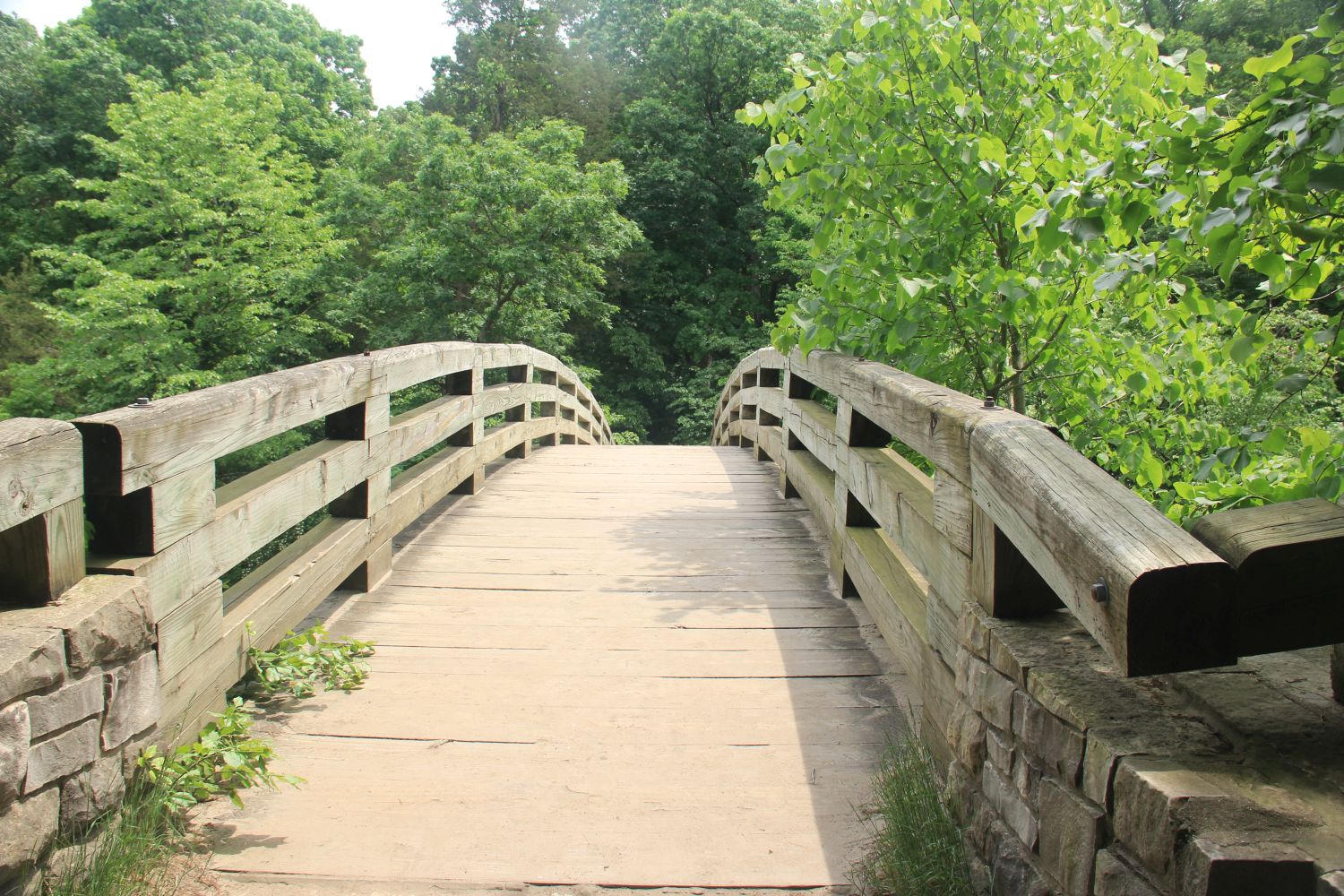 Starved Rock 